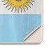 Argentina Flag Distressed Google Pixel 8 Pro Skin